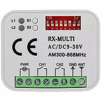 Приймач RX Multi — для будь-яких пультів