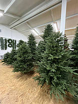 Штучна ялинка лита на металевих крабах зелена Джулія 1.2 - 3 м., фото 5