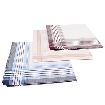 Чоловіча світла носова хустка EGA 016