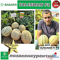 Диня Талісман F1 / Talisman F1, 1000 насінин, ТМ Sakata (Японія)