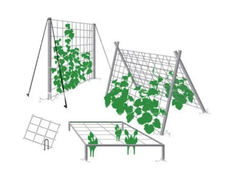 Сітка для Витких Рослин 🔥 Поліетиленова Плетена Нитка 🔥 Висока Щільність ❤️ Розмір 1,8х5,0 м ❤️