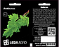 Пряно-смакові рослини, Любисток, 2 г (Leda Agro), фото 2