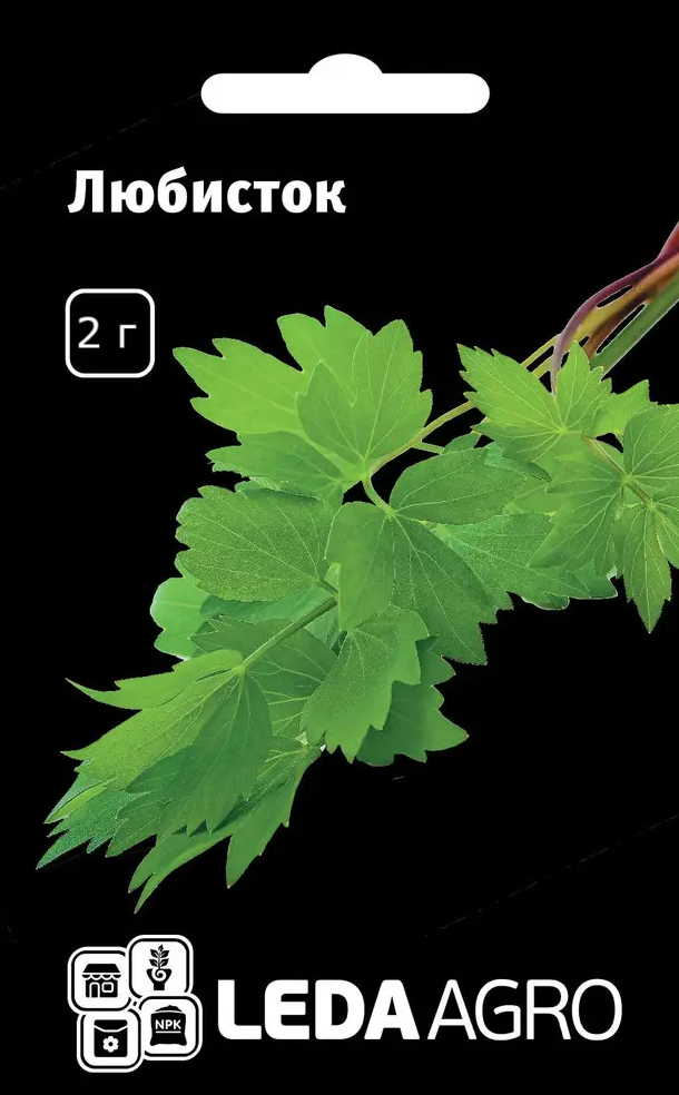 Пряно-смакові рослини, Любисток, 2 г (Leda Agro), фото 1