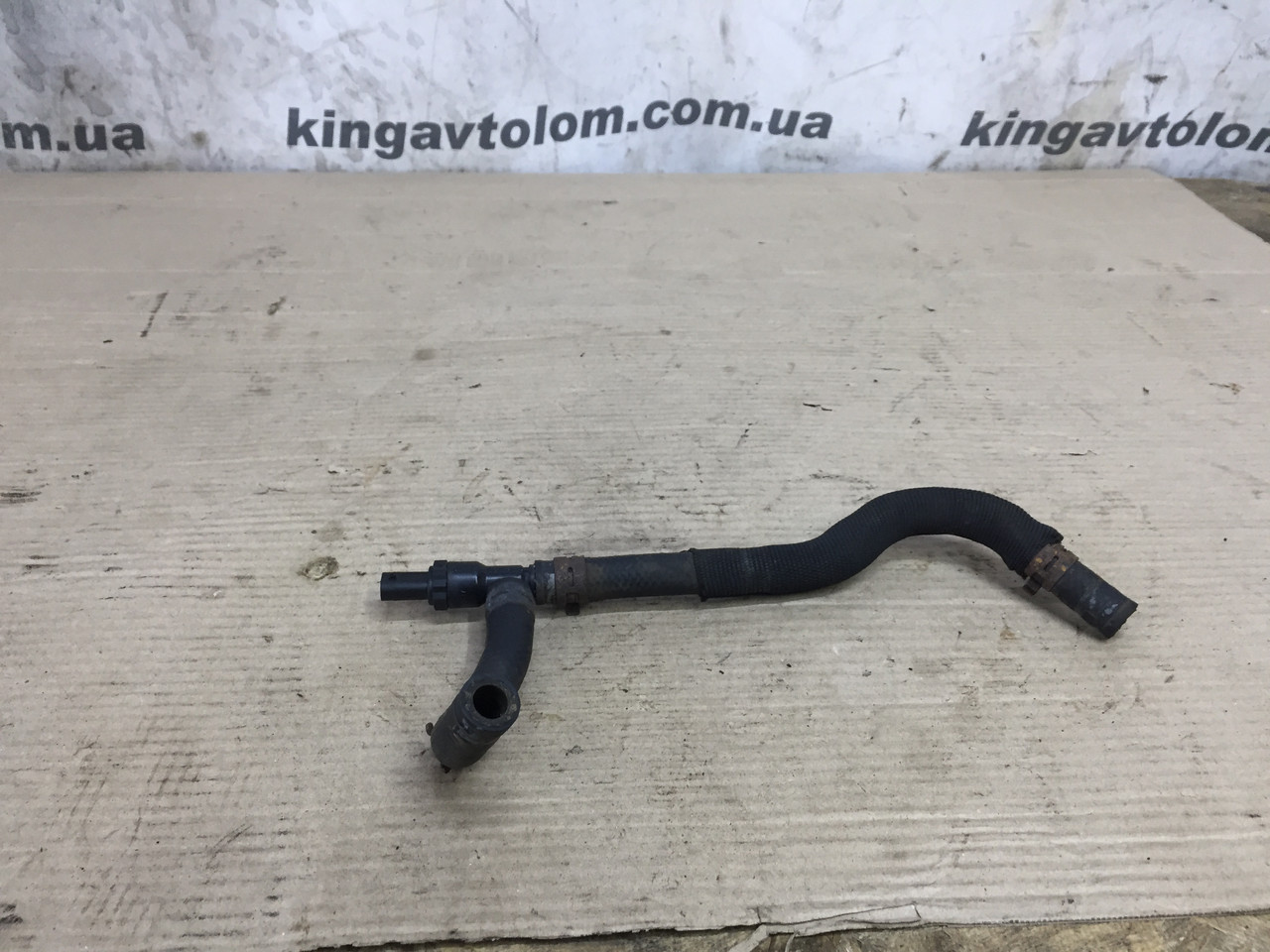 Датчик температури палива Skoda Octavia A7 04L919565, фото 1