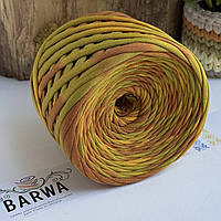 Пряжа трикотажна BARWA Гарбузик