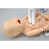 Симулятор новонародженого Premie™ Blue 3B Scientific 1018862, фото 3