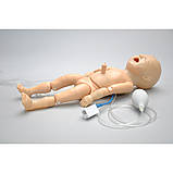 Симулятор новонародженого Premie™ Blue 3B Scientific 1018862, фото 7