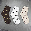 Шкарпетки зимові жіночі 12 пар «Горошок» махрові розмір 36-40 арт. 323.12, фото 5