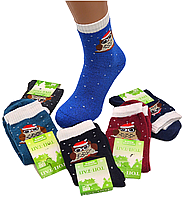 Жіночі махрові шкарпетки Топ-Тап - 21.00 грн./пара (сова)