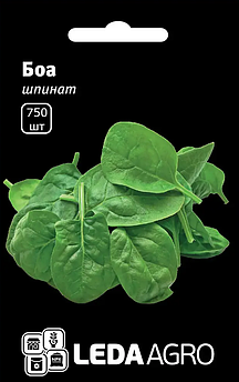 Шпинат Боа, швидкостиглий, 750 шт (Leda Agro)