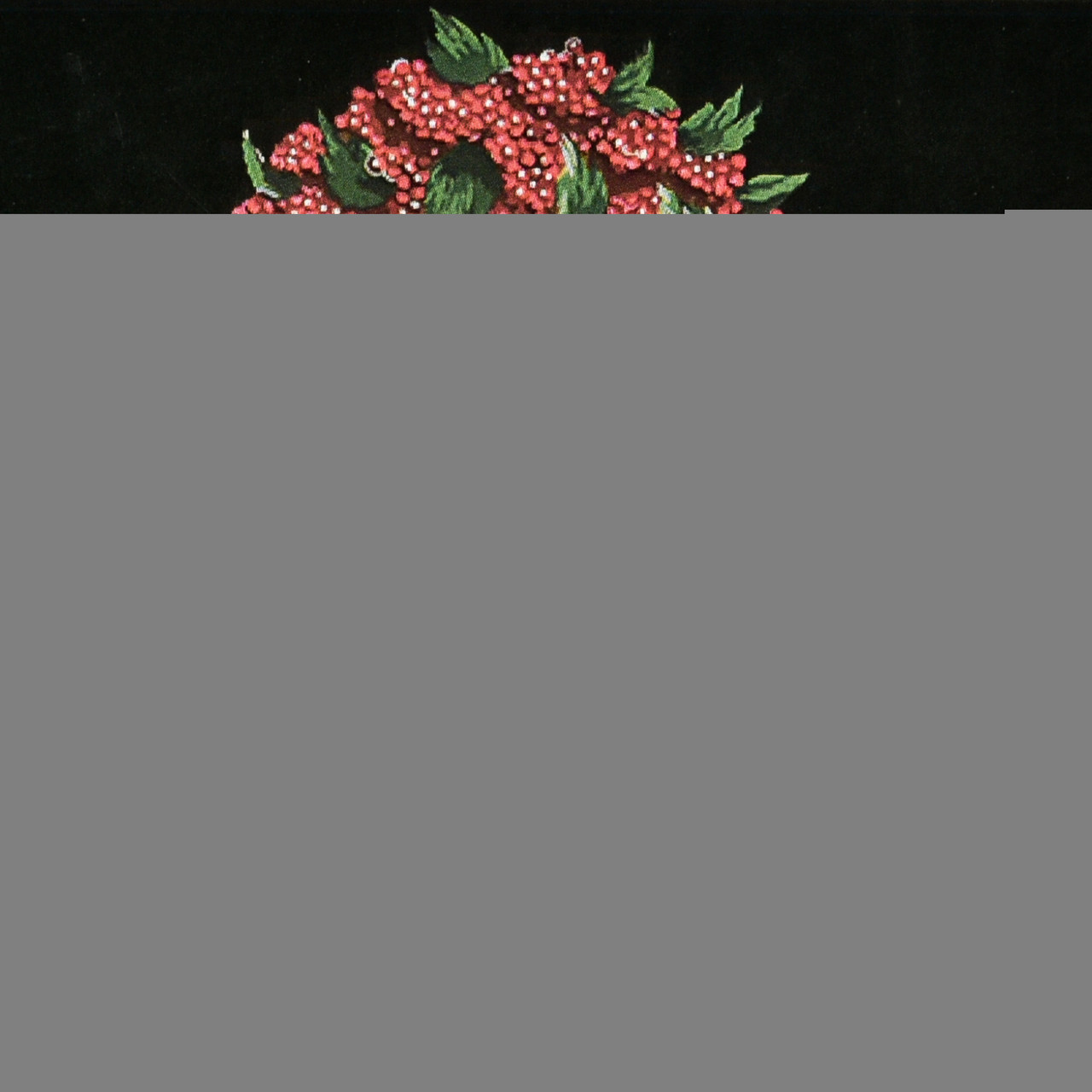 Картина за номерами Патріотична Гостинна на чорному фоні 40х40 см Strateg (AV4040-88), фото 1