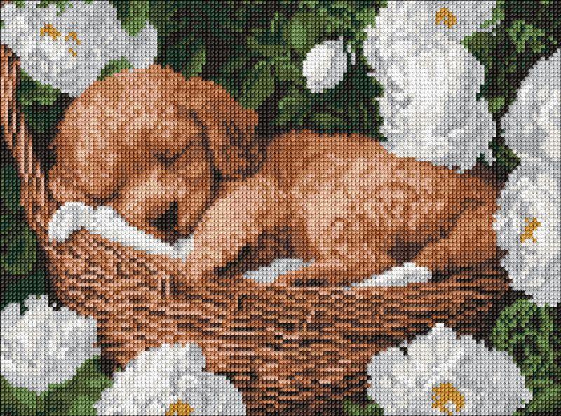 Алмазна мозаїка Сплячий пудель art_selena_ua 30х40 Ідейка (AMO8170), фото 1