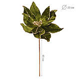 Квітка декоративна Yes! Fun Пуансетія темно-зелений 23см (974975), фото 2