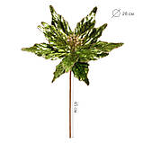 Квітка декоративна Yes! Fun Пуансетія темно-зелений фольга 28см (974979), фото 2