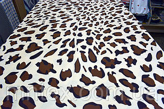 Сатин Лео, фото 4