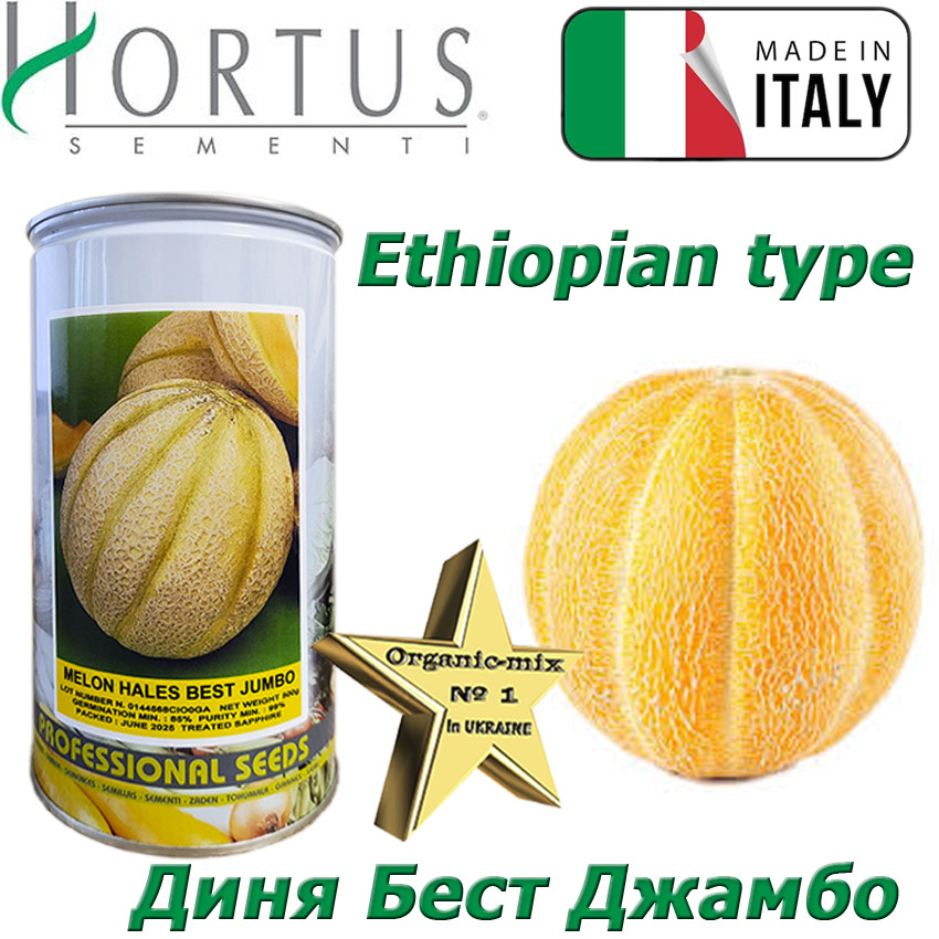 Насіння, диня рання, італійська Ефіопка, Бест Джамбо (BEST JAMBO) ТМ Hortus (Італія), банка 500 грам Імпорт 2025, фото 1