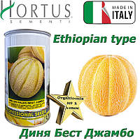 Насіння, диня рання, італійська Ефіопка, Бест Джамбо (BEST JAMBO) ТМ Hortus (Італія), банка 500 грам Імпорт 2025