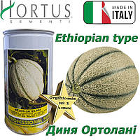 Насіння, диня рання сортотип "Ефіопка" Oртолані / Ortolani ТМ Hortus (Італія), банка 500 грамів Імпорт 2025