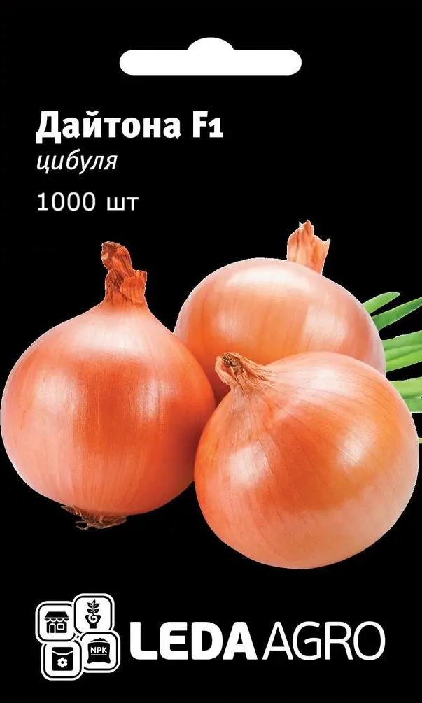 Цибуля Дайтона F1 1000 шт, (Leda Agro), фото 1