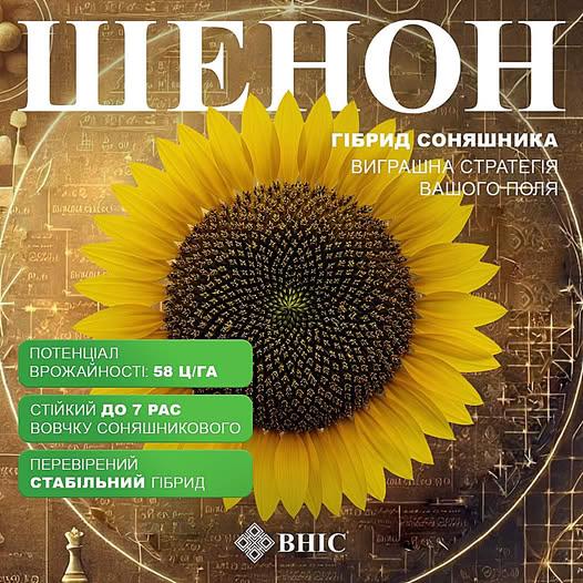 ШЕНОН, фото 1