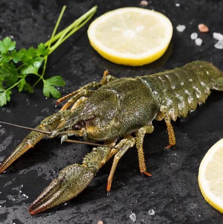 Раки охолоджені мілко-середні до 35 шт/кг (30-50грам/штука), фото 1