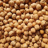 Нут Узбекский 1 кг