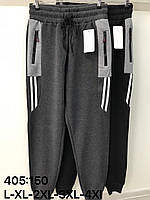 Штани спортивні чоловічі на флісі (Розміри: 46-56)