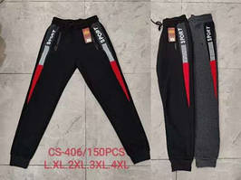 Штани спортивні чоловічі на флісі (Розміри: 46-56)