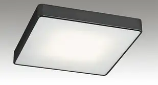 Плафон Argon Ontario 2pł. (654)