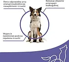 Корм собачий Brit Veterinary Dog Grain Free Gastrointestinal Low Fat 12Kg, фото 3