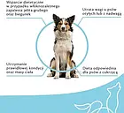 Корм собачий Brit Veterinary Diet Obesity Lamb&Pea 12Kg, фото 2