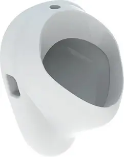 Пісуар Geberit Felix 502885001