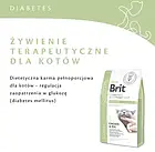 Сухий корм Brit Veterinary Diet Diabetes Chicken&Pea 5Kg, фото 2