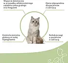Сухий корм Brit Veterinary Diet Diabetes Chicken&Pea 5Kg, фото 5