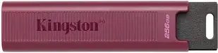 Флешка Kingston 256GB DataTraveler Max Typ A (USB 3.2) (DTMAXA256GB)