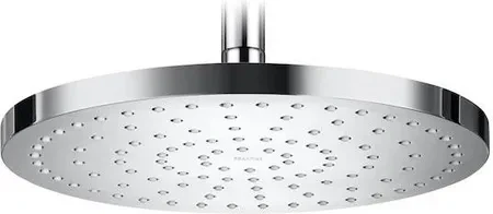 Головка душу Roca кругла 254 mm Rainsense A5B2250C00, фото 1