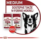 Корм собачий Royal Canin Medium Ageing +10 15kg, фото 3