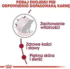 Корм собачий Royal Canin Medium Ageing +10 15kg, фото 5