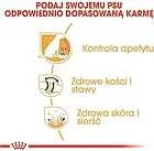 Корм собачий Royal Canin Labrador Retriever Sterilised 12kg, фото 2