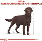 Корм собачий Royal Canin Labrador Retriever Sterilised 12kg, фото 3