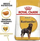 Корм собачий Royal Canin Rottweiler Adult 12kg, фото 2