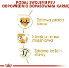 Корм собачий Royal Canin Rottweiler Adult 12kg, фото 3