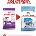 Корм собачий Royal Canin Giant Puppy 15kg, фото 6