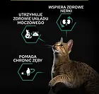 Сухий корм Pro Plan Sterilised Renal кролик 10kg, фото 5
