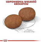 Корм собачий Royal Canin Medium Adult +7 15kg, фото 4