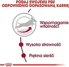 Корм собачий Royal Canin Medium Adult +7 15kg, фото 5