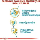 Корм собачий Royal Canin Boxer Puppy 12kg, фото 6