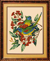 Набір для вишивання хрестом ТМ "Леді" Папуги 1035