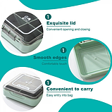 Таблетниця/органайзер/ контейнер 7.5 х 7.5 х 2.3 см для таблеток і ліків 4 відділення зелений, фото 2