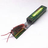 Жуйка-тарган для розіграшів Cockroach Surprise, фото 2